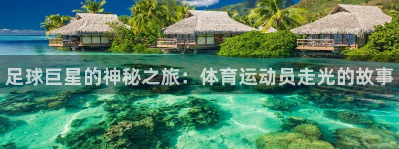 3377体育中国官方网站入口