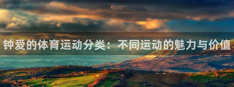 3377体育平台