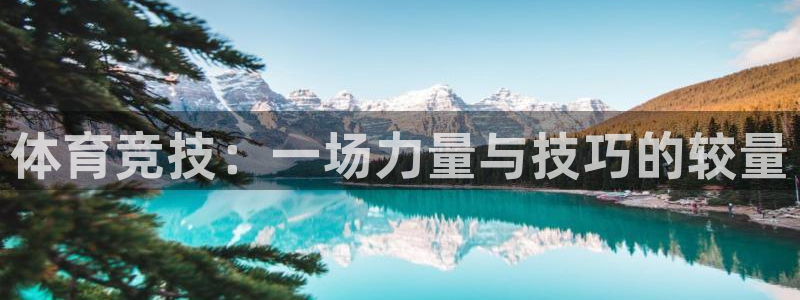 3377体育是正规的吗
