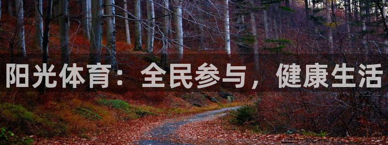 3377体育官网