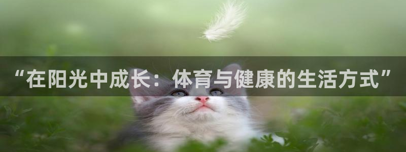 3377体育靠谱吗