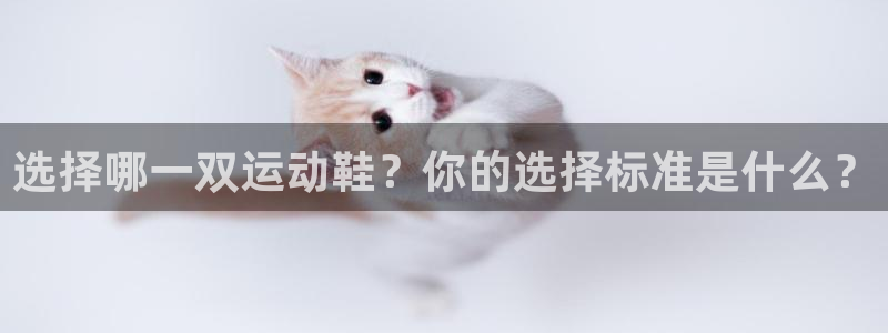 3377体育中国官方网站入口：选择哪一双运动鞋？你的选择标准是什么？