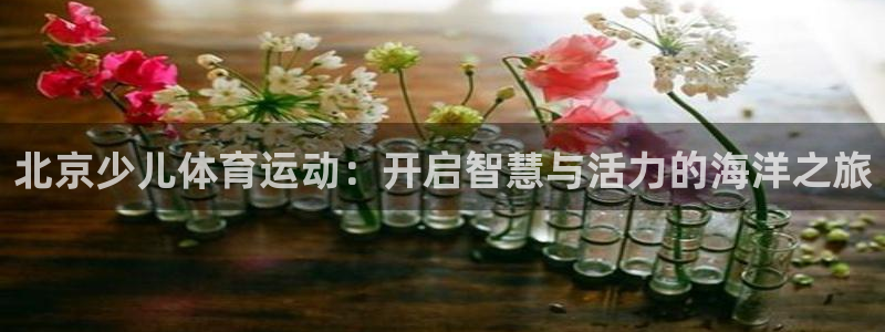 3377体育官网下载：北京少儿体育运动：开启智慧与活力的海洋之旅