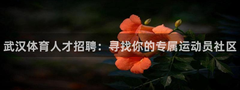 3377体育平台：武汉体育人才招聘：寻找你的专属运动员社区