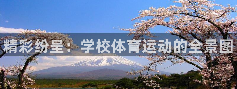 3377体育靠谱吗：精彩纷呈：学校体育运动的全景图