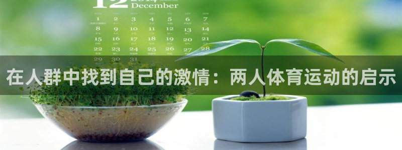 3377体育官网入口下载最新：在人群中找到自己的激情：两人体育运动的启示