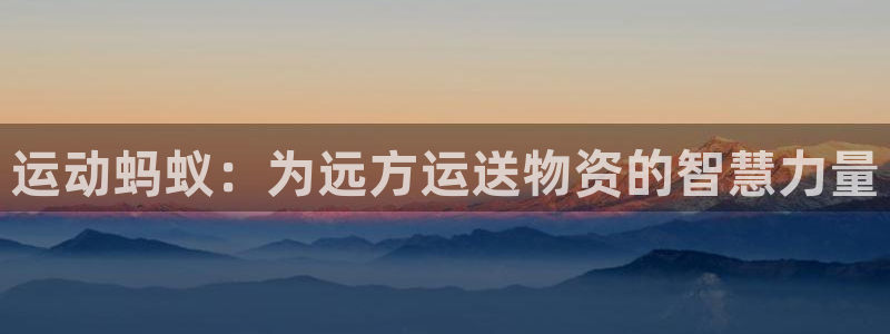 3377体育是正规的吗：运动蚂蚁：为远方运送物资的智慧力量