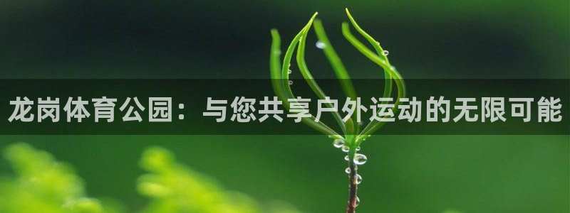 3377体育(中国)官方网站：龙岗体育公园：与您共享户外运动的无限可能