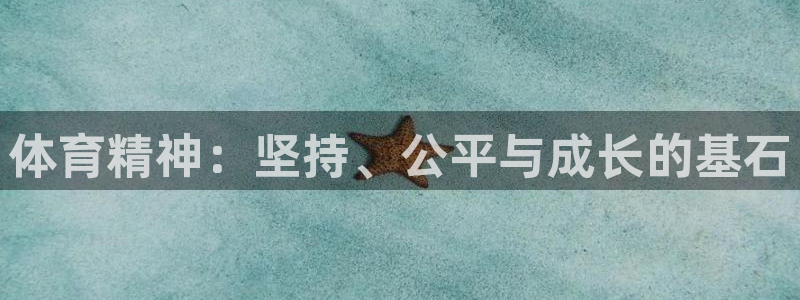 3377体育官方app下载：体育精神：坚持、公平与成长的基石