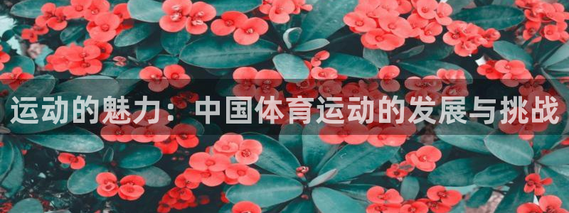 3377体育官网：运动的魅力：中国体育运动的发展与挑战