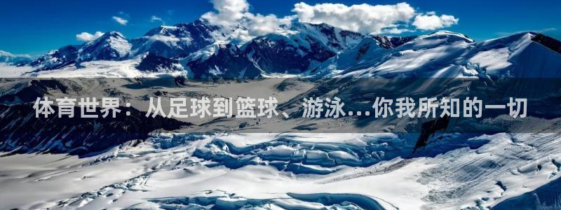 3377体育com：体育世界：从足球到篮球、游泳...你我所知的一切